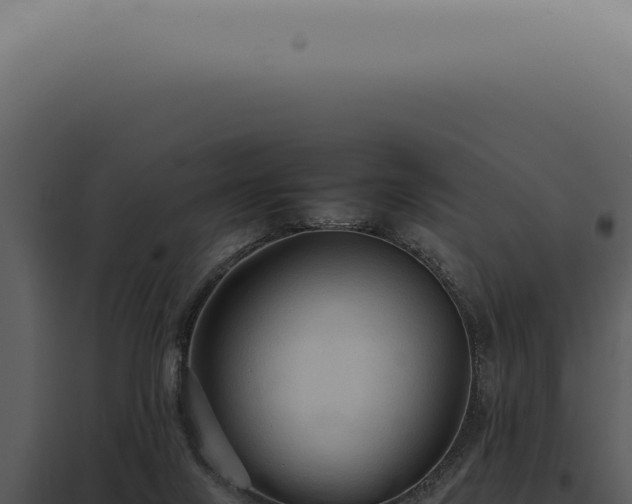 X0000098000071200804011842