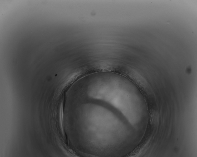 X0000098000072200804011842