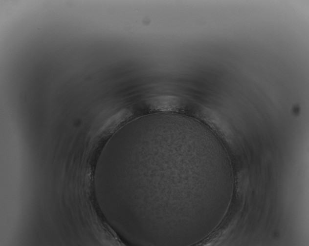 X0000098000073200804011842
