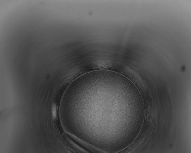 X0000098000075200804011842