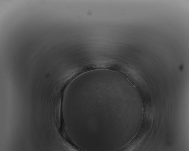X0000098000076200804011842