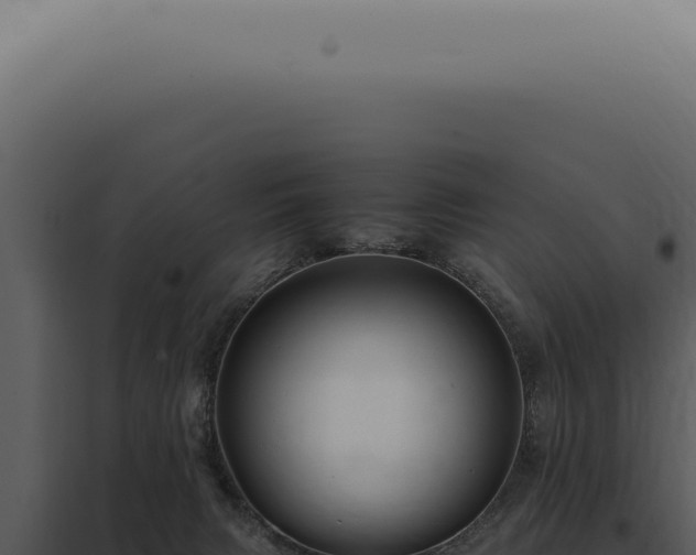 X0000098000079200804011842