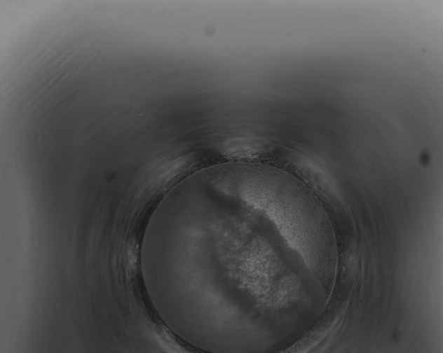 X0000098000081200804011842