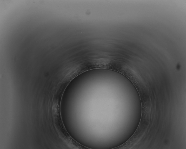 X0000098000083200804011842