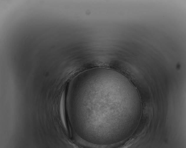X0000098000084200804011842