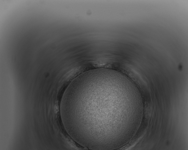 X0000098000085200804011842