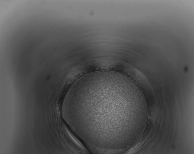 X0000098000086200804011842