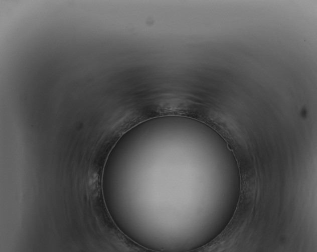 X0000098000087200804011842