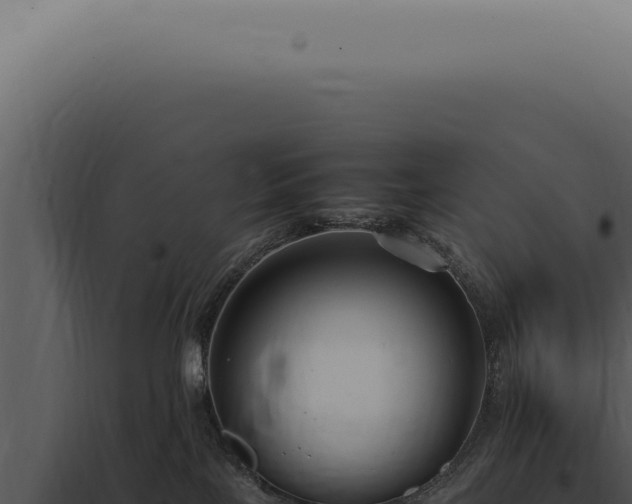 X0000098000089200804011842