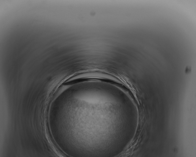 X0000098000097200804011841