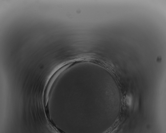 X0000098000100200804011841