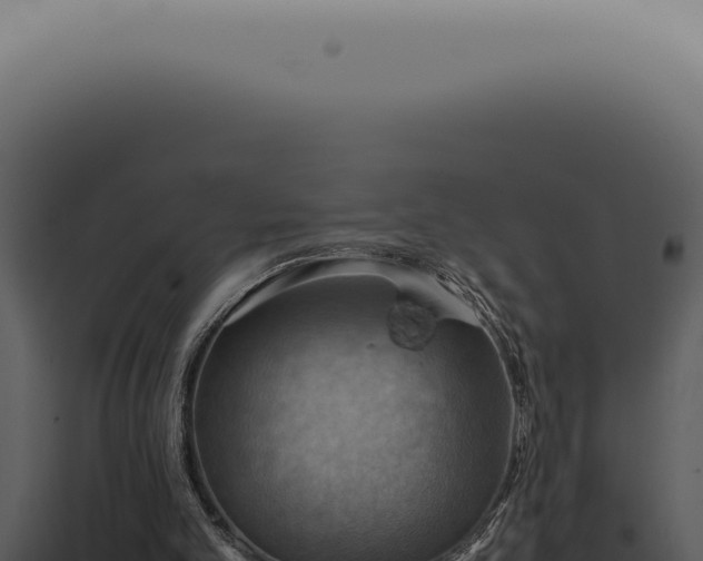 X0000098000101200804011841