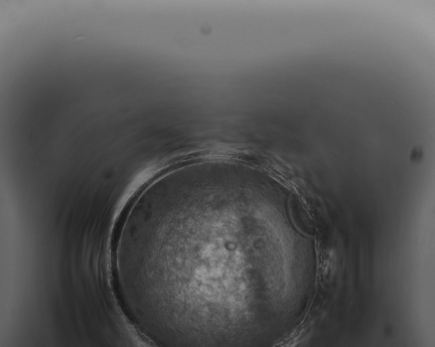X0000098000102200804011841