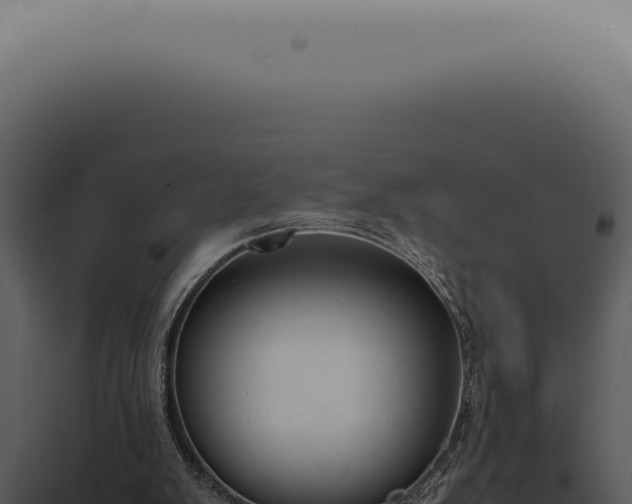 X0000098000103200804011841