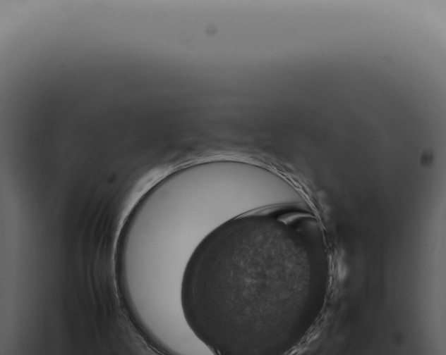 X0000098000104200804011841