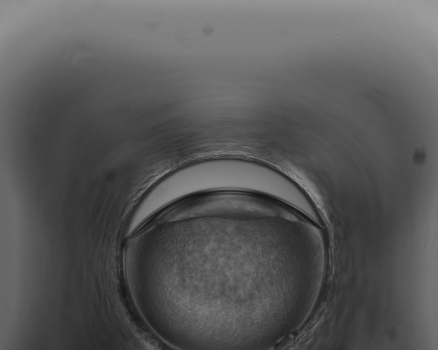 X0000098000105200804011841