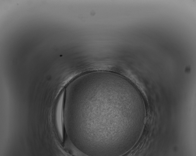X0000098000107200804011841