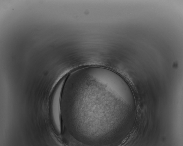 X0000098000108200804011841