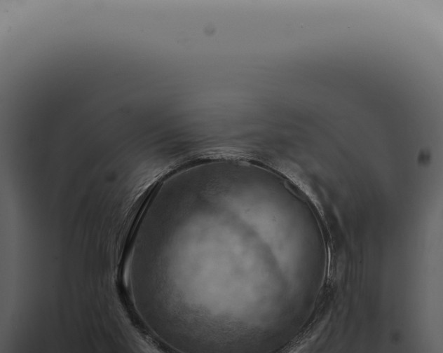 X0000098000109200804011841