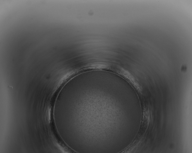 X0000098000110200804011841