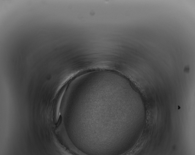 X0000098000112200804011841