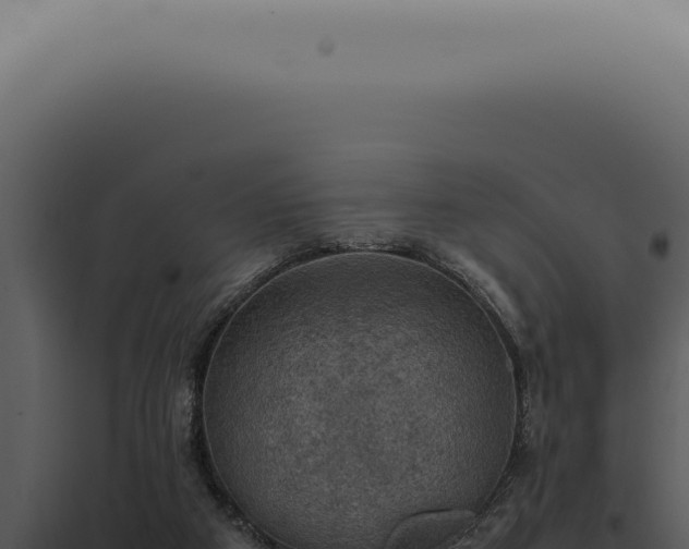 X0000098000113200804011841