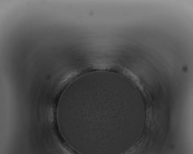 X0000098000114200804011841