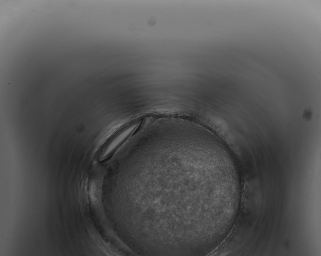 X0000098000116200804011841