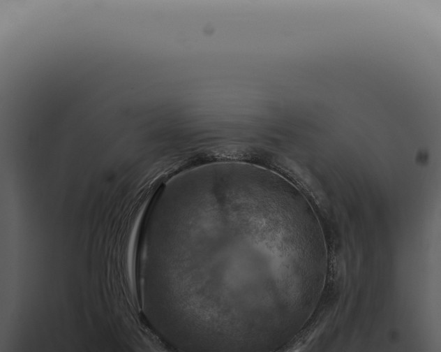 X0000098000117200804011841