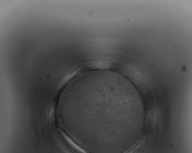 X0000098000120200804011841
