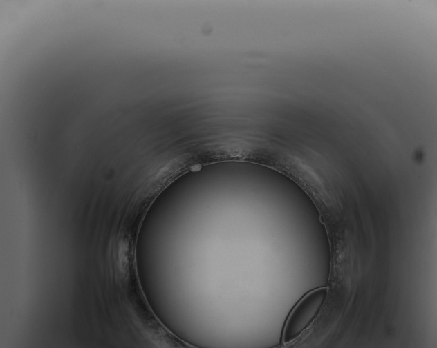 X0000098000122200804011841
