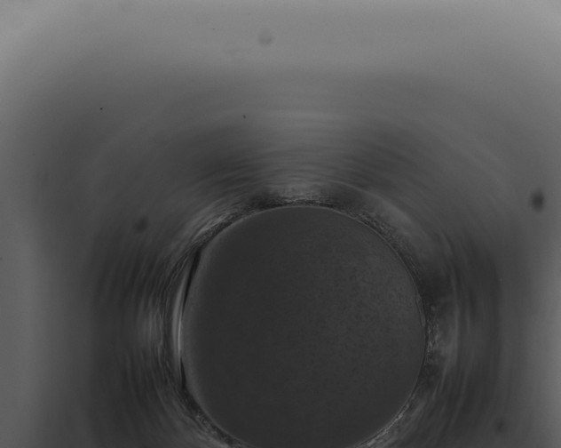 X0000098000124200804011841
