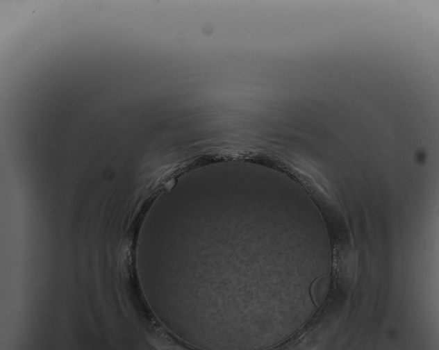 X0000098000127200804011841