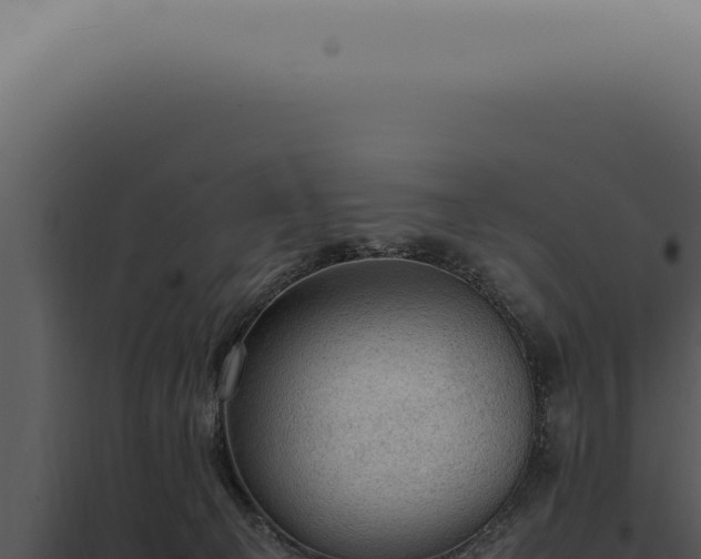 X0000098000129200804011841