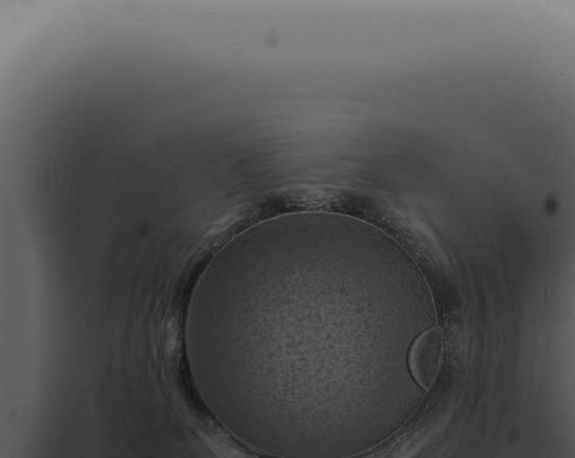 X0000098000131200804011841