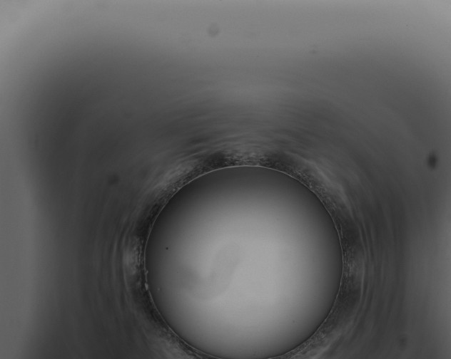 X0000098000133200804011841