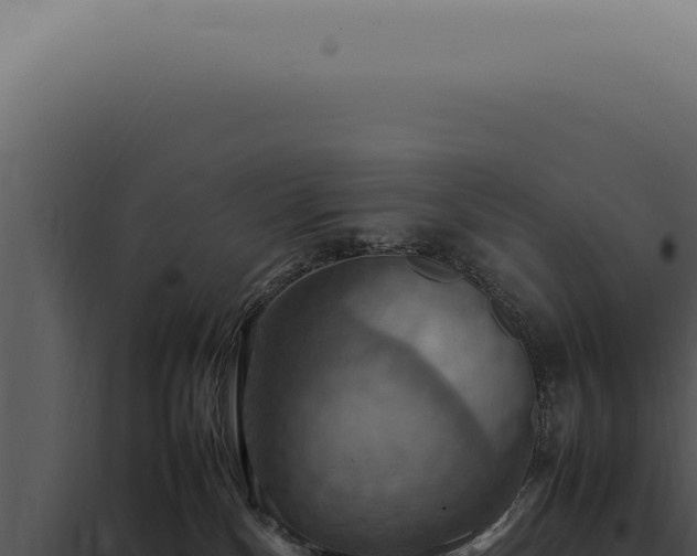 X0000098000136200804011841