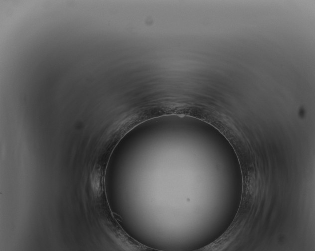 X0000098000138200804011841