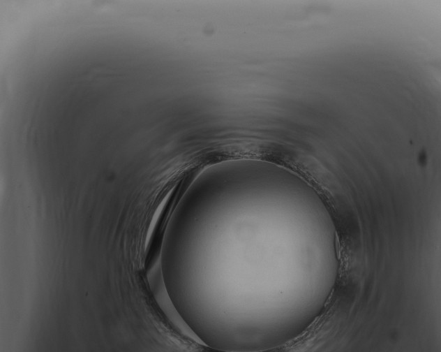 X0000098000141200804011841
