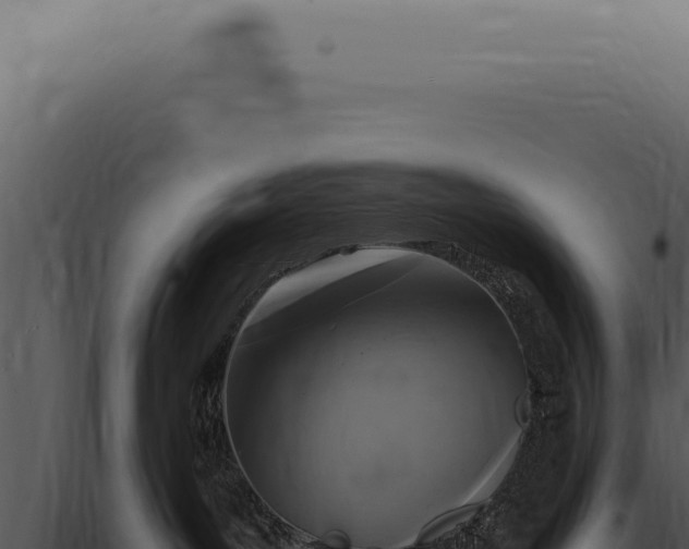 X0000098000143200804011841