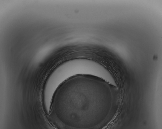 X0000098000146200804011840