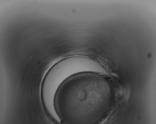 X0000098000148200804011840
