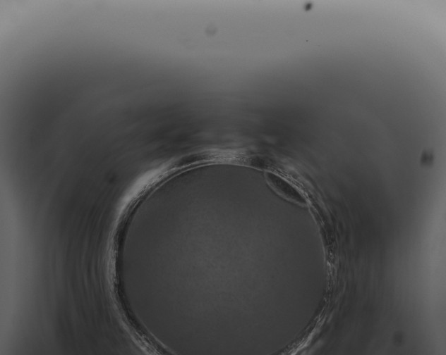 X0000098000149200804011840