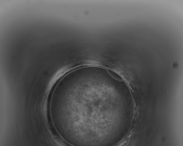 X0000098000151200804011840
