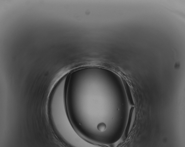 X0000098000152200804011840