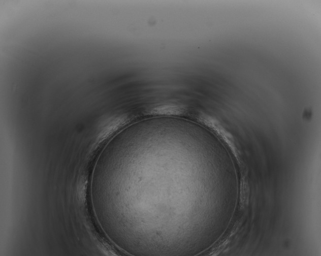 X0000098000153200804011840