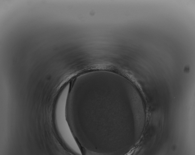 X0000098000154200804011840
