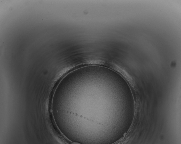 X0000098000155200804011840