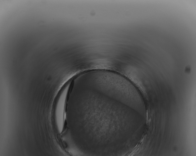 X0000098000156200804011840