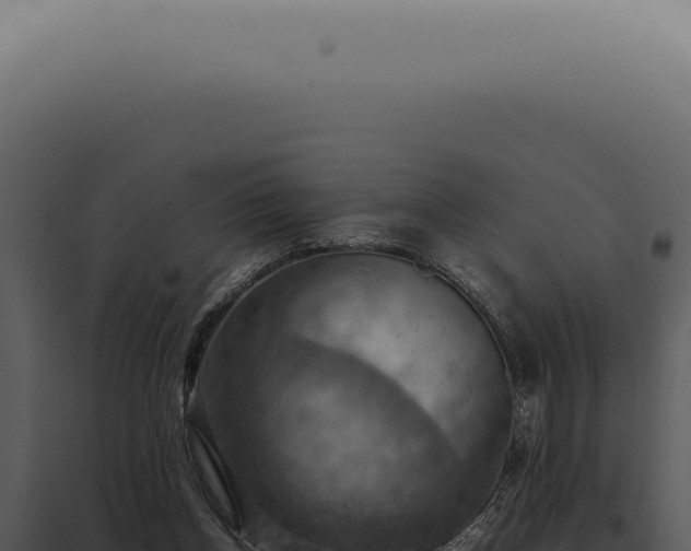 X0000098000158200804011840